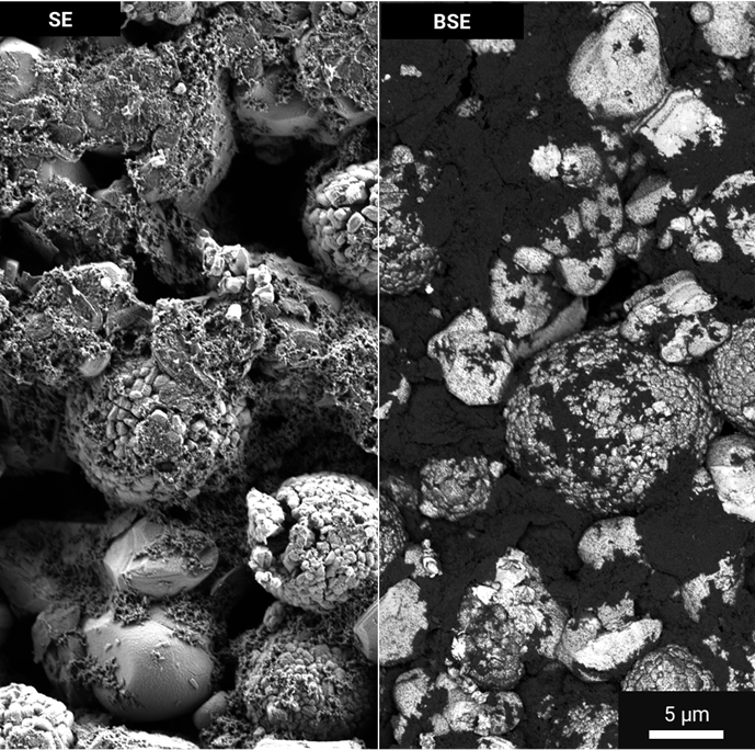Surface imaging of battery electrode showing active material, binder, and conductive additive distribution