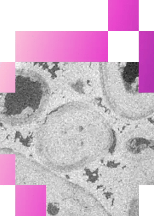 4-1-Dynamic Pore scale Fluid flow-mobile
