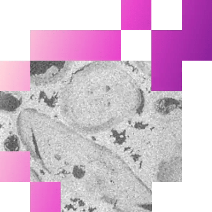 4-1-Dynamic Pore scale Fluid flow