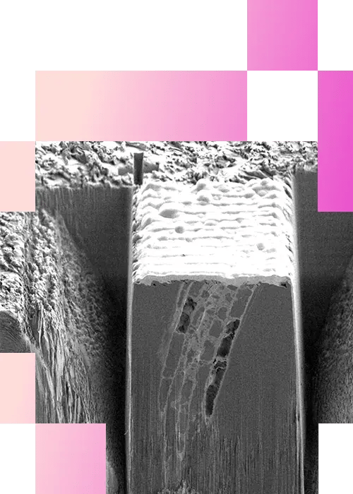 4-1-Exploring Intercellular Transport Pathways in Plants-mobile