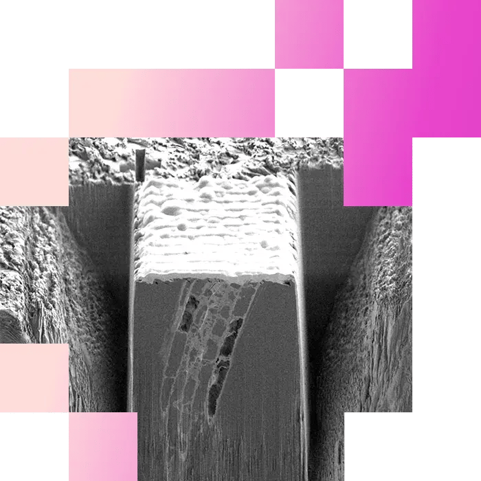 4-1-Exploring Intercellular Transport Pathways in Plants