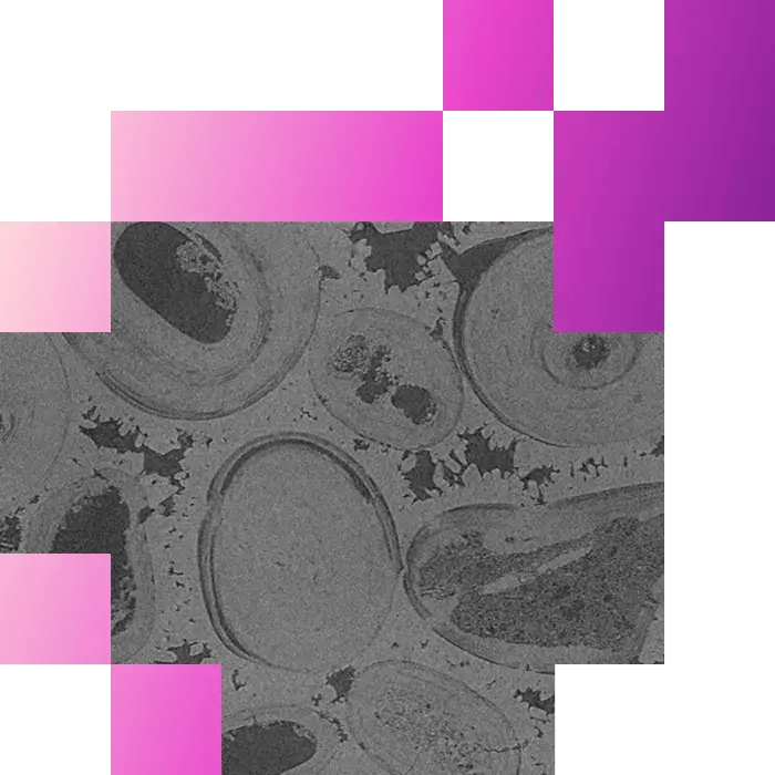 4-2-Multiscale imaging from core to pore