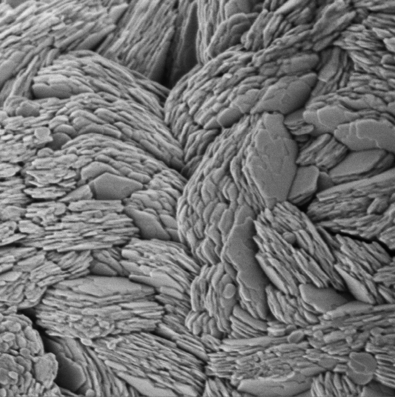 Support Electrode Design with High-Detail SEM of Li-Rich Ni Active Materials
