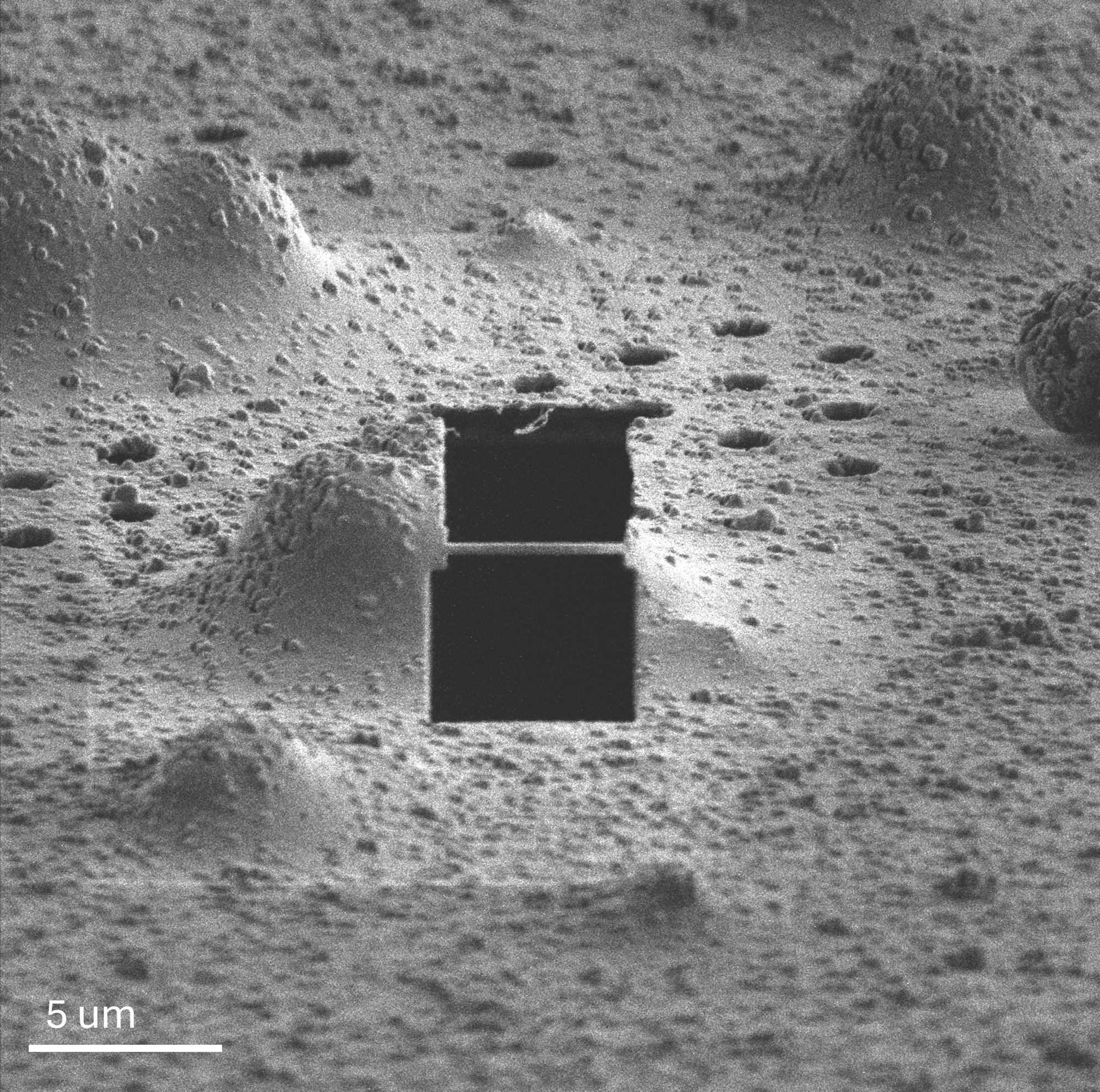 FIB image of the lamella