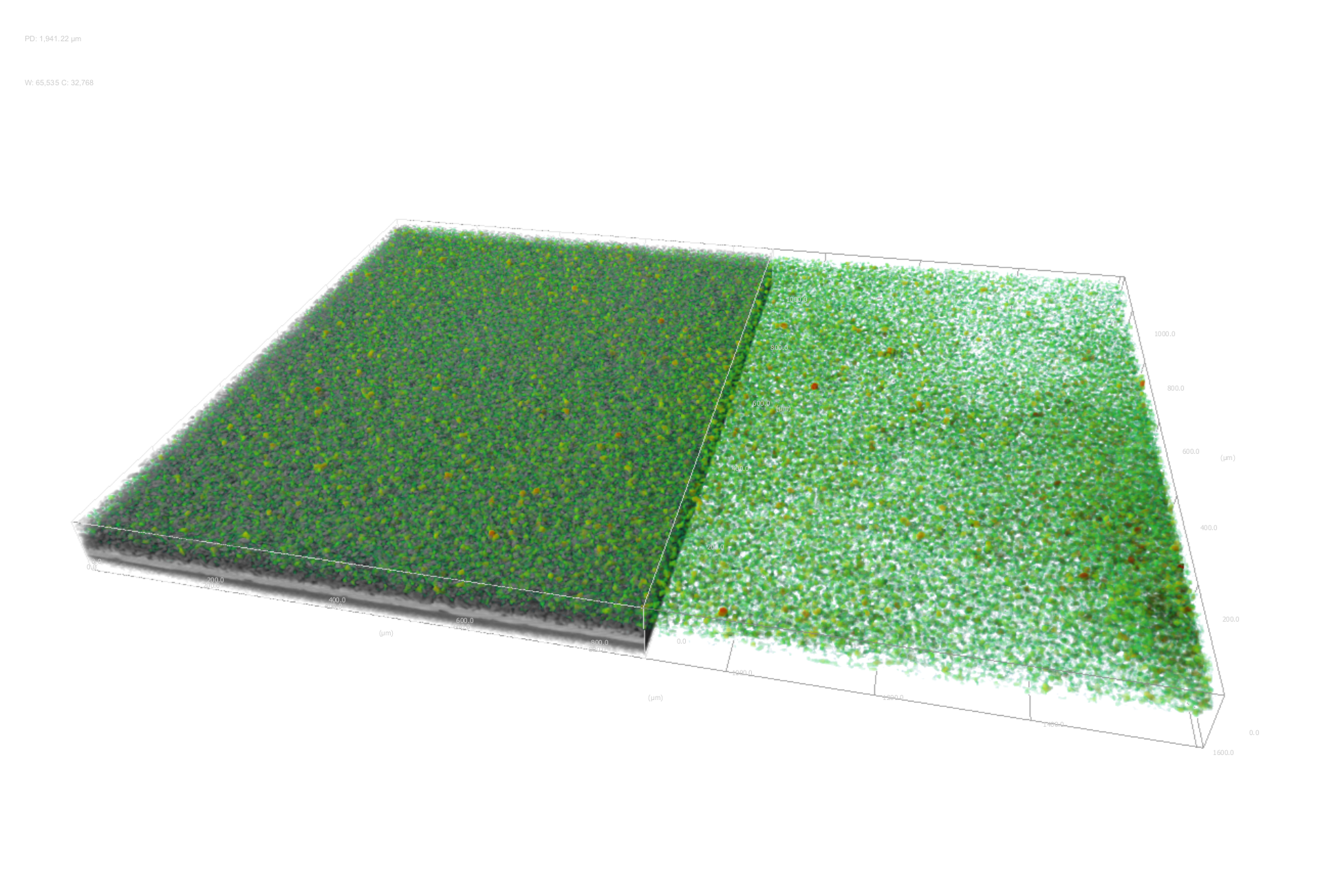 Quantify Pore Networks in Graphite Anodes