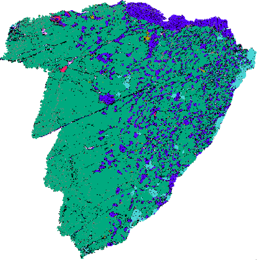 Spot Fine Intergrowths That Affect Recovery