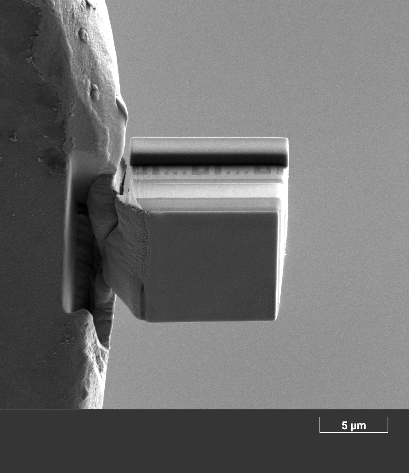 Plain-view lamella preparation, secondary Carbon deposition after chunk attachment to the grid