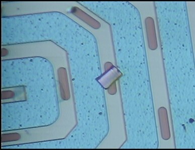 EXLO specimen manipulated to a DENSsolutions MEMS device.