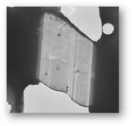 On-grid lamella after final polishing