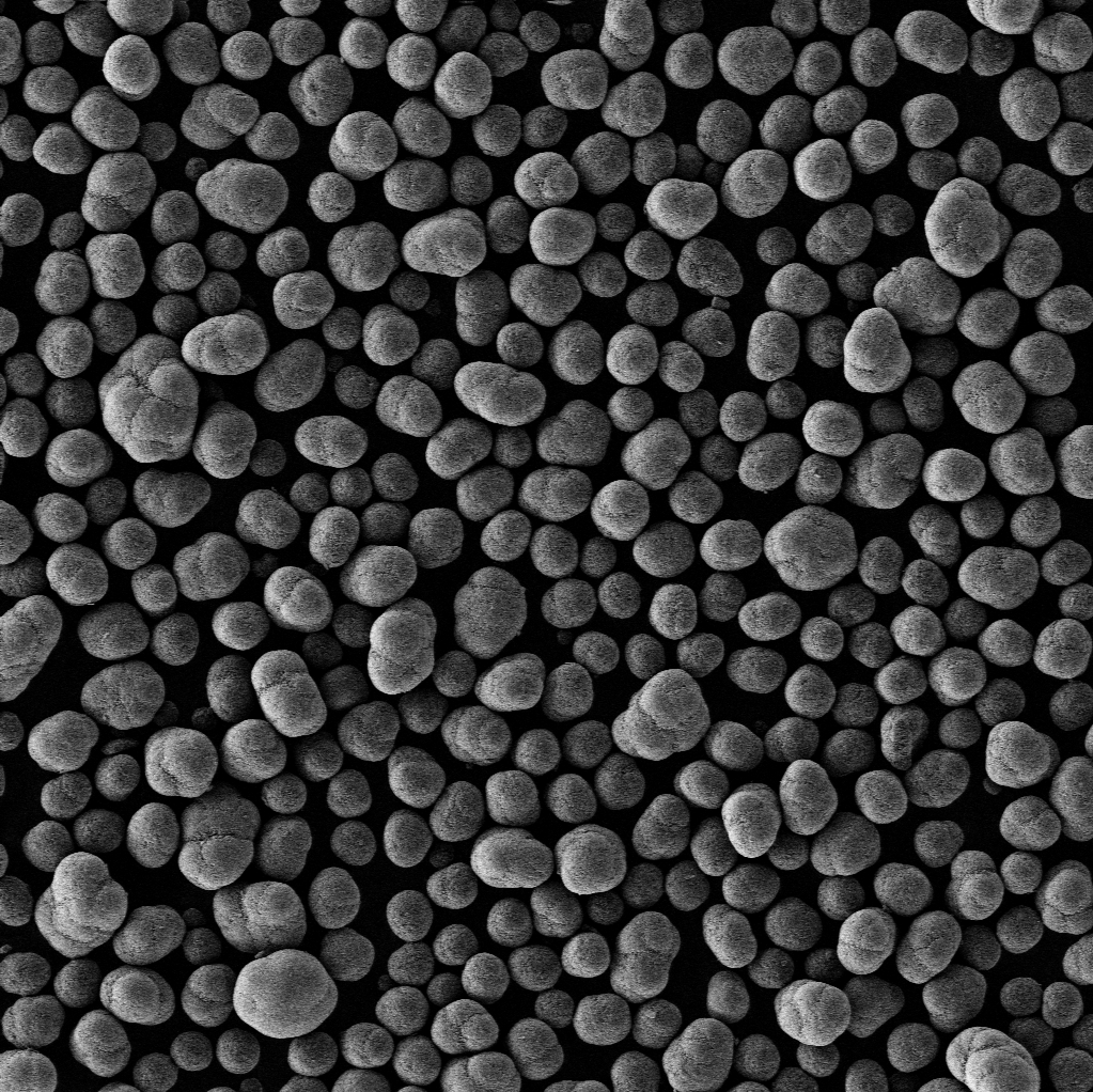 Uniformity Assessment of Cathode Powders