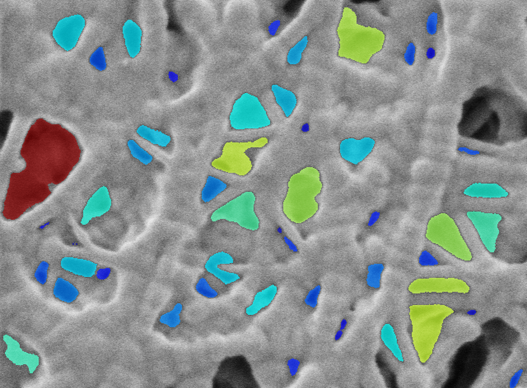 5_Separator pore identification for size distribution analysis-2