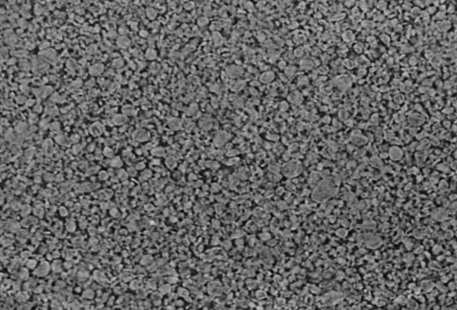 Correlate Particle and Pore Distribution at High Resolution