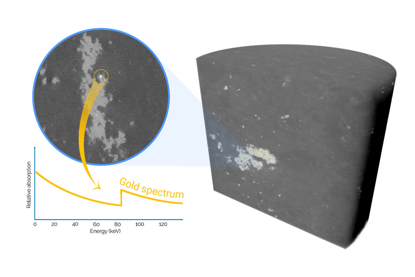 spectral micro-CT analysis of large core indicating the precense of gold