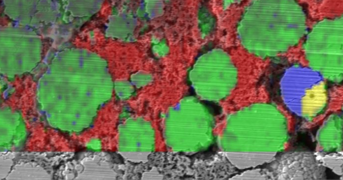 Correlative SEM and Raman Analysis