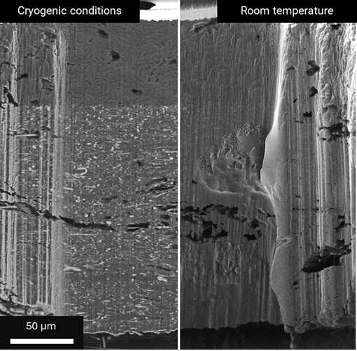 Tescan Amber X 2 inert gas and cryogenic workflow protecting air-sensitive battery samples during transfer and FIB milling.