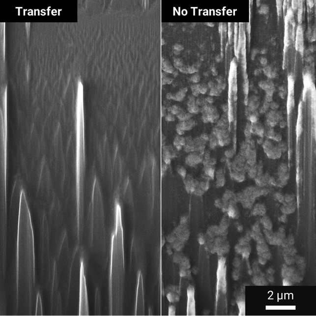 Inert gas transfer system for safe handling of air- and moisture-sensitive lithium-based battery samples