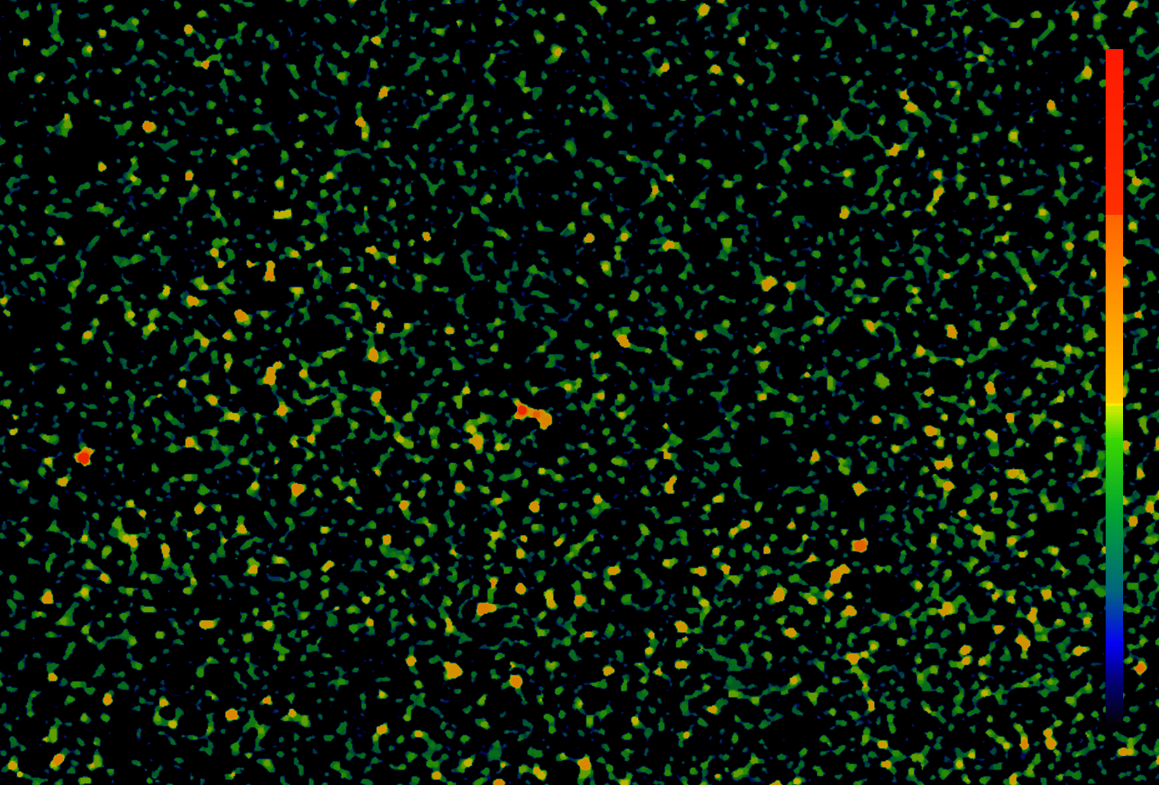 Visualize Pore Connectivity Across the Electrode Volume