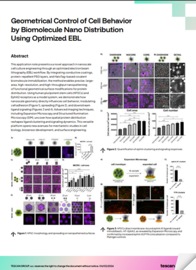 AN-Geometrical Control of Cell Behavior