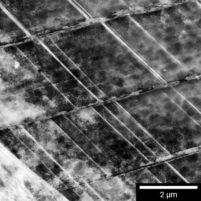 CLARA-img-700x700px-scalebar-logo-nove2