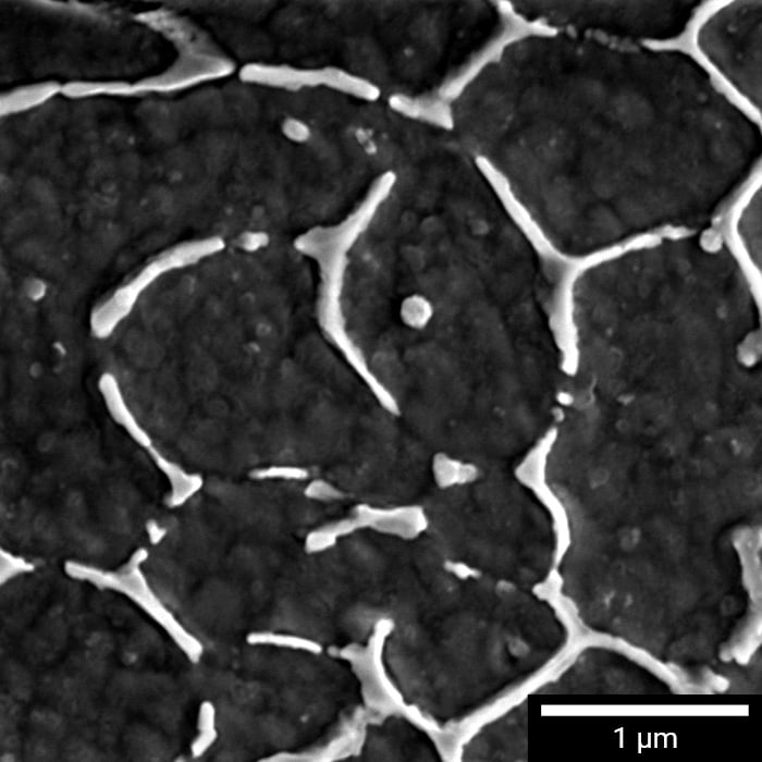 CLARA-img-700x700px-scalebar