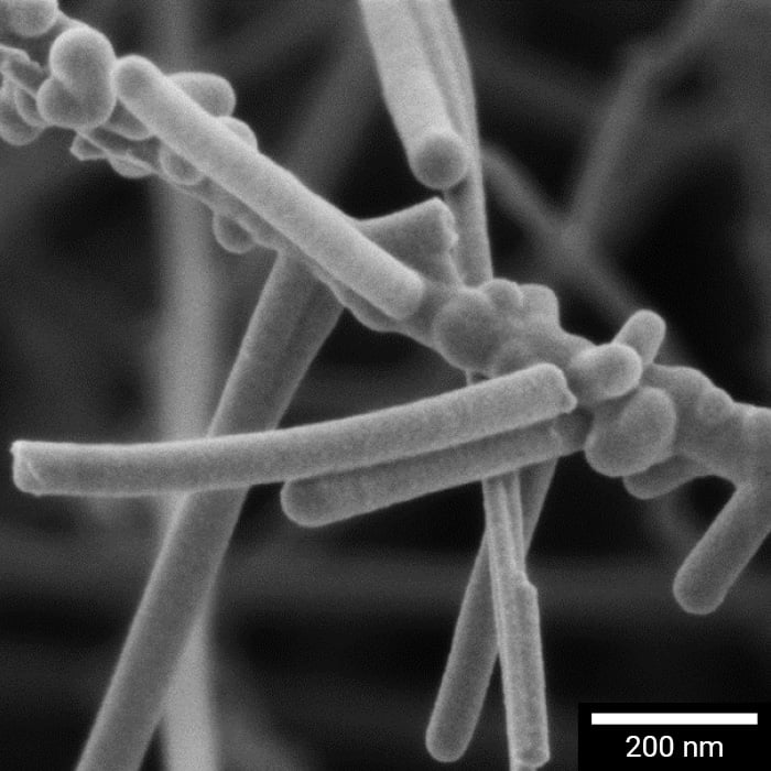 CLARA-img-700x700px-scalebar3