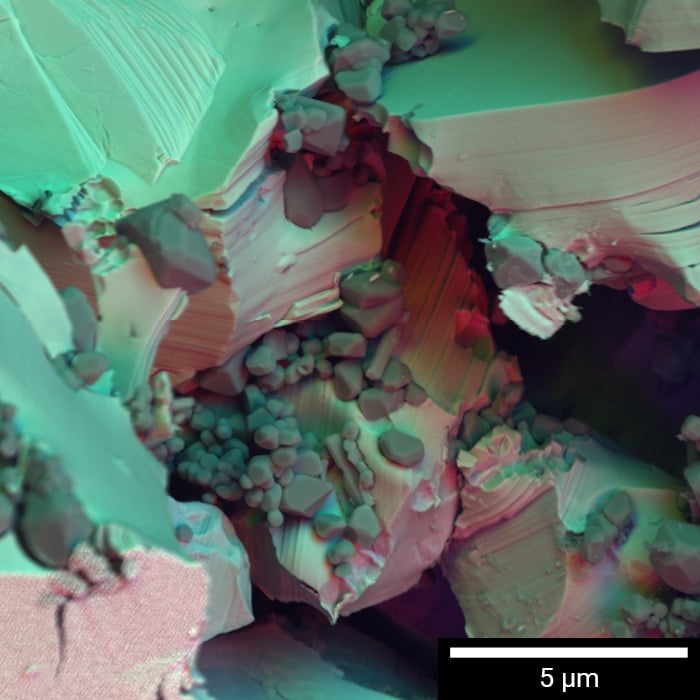 CLARA-img-700x700px-scalebar5