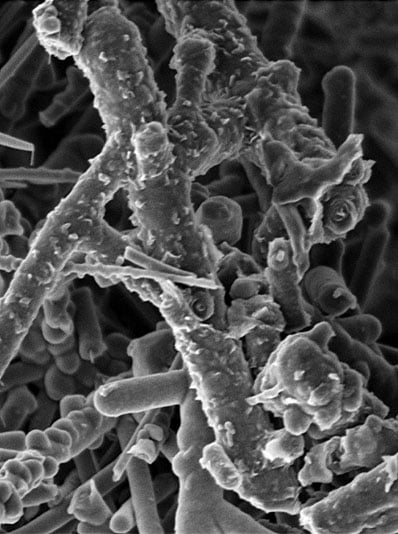Carbon Nanotubes acquired at 500 eV using Axial detector kopie