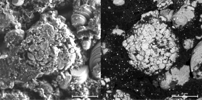 Comparison of SE and BSE imaging of a battery cathode material