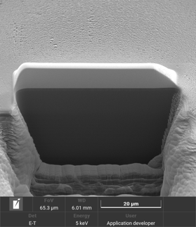 SiC Cross-Section with Tescan AMBER X 2