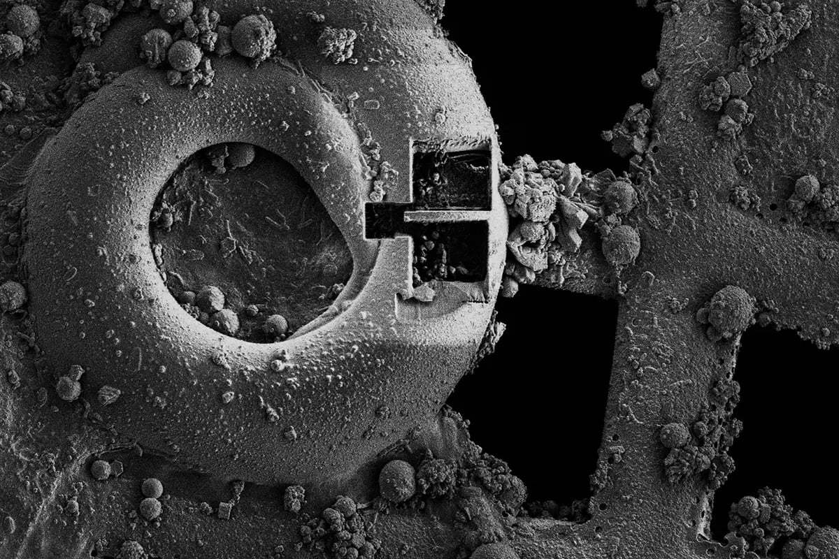Cryo-ET Sample Preparation