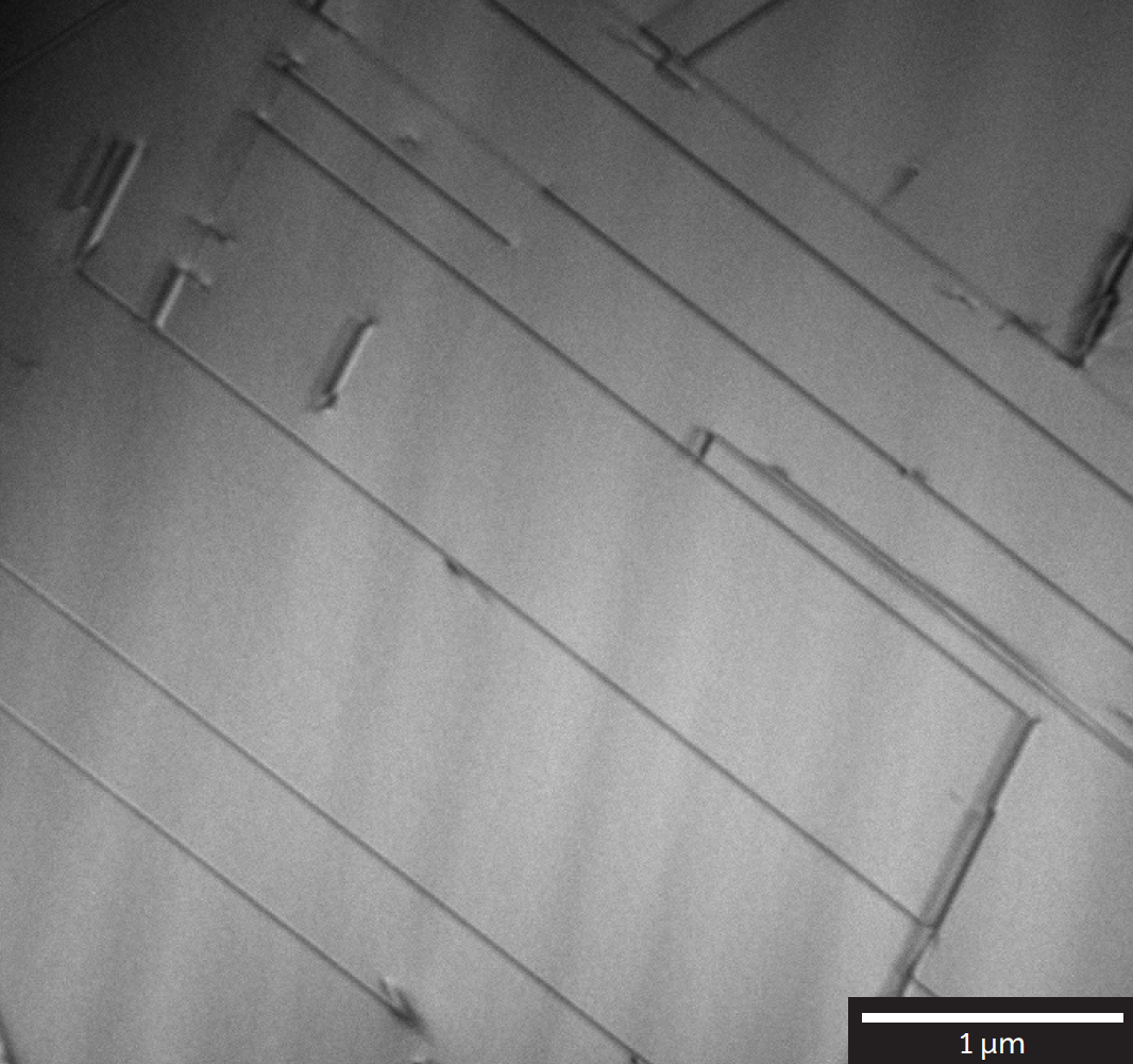 Reveal Critical Stacking Faults with High-Resolution STEM Imaging in FIB-SEM