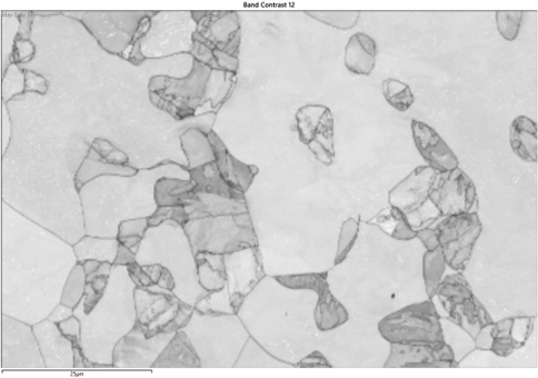 Reliable EBSD Contrast Across Phases