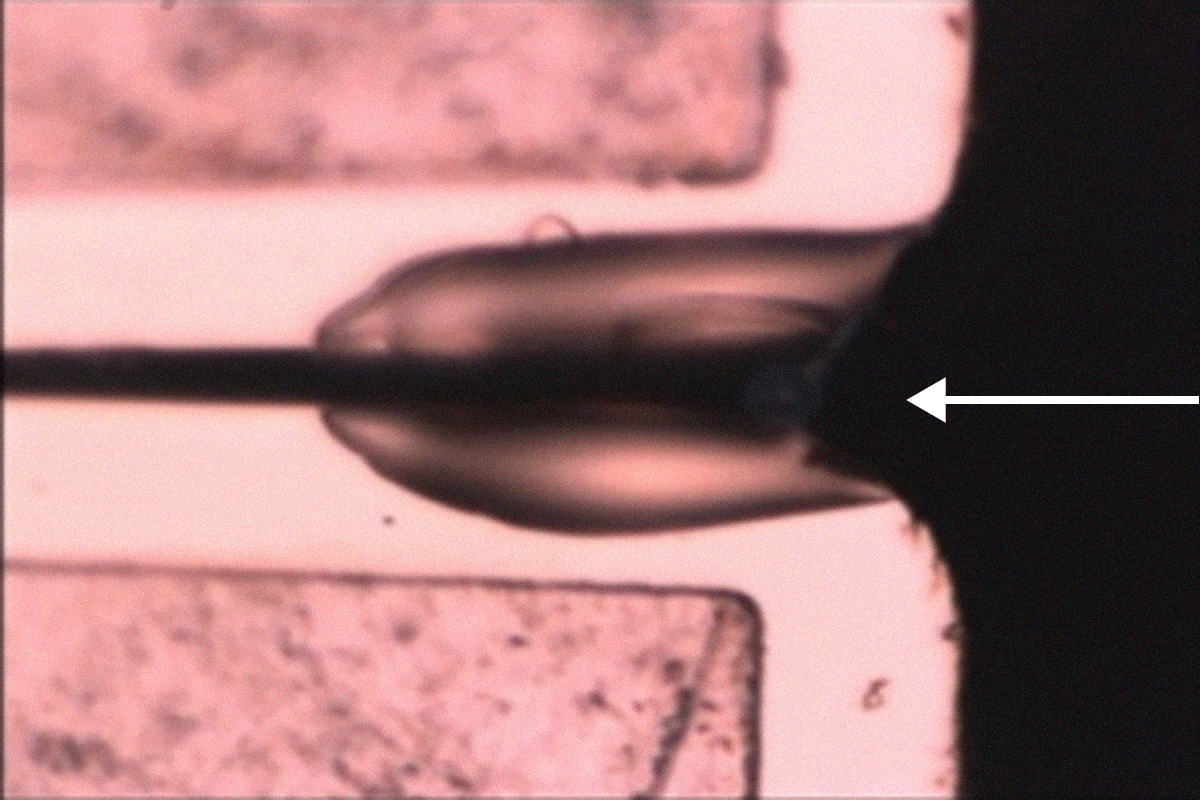 EXLO_Nanomanipulation