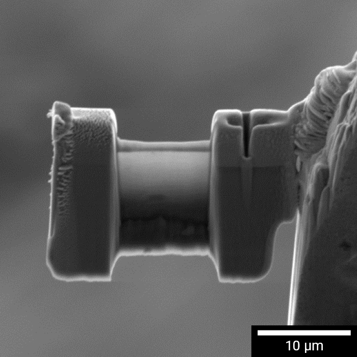 FIB-SEM-AMBER-X-29-1