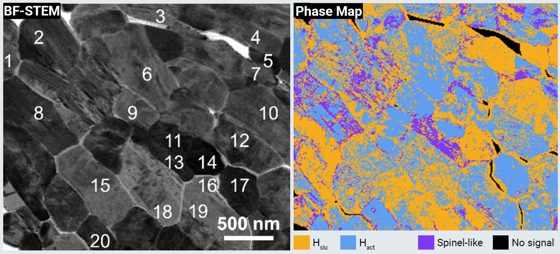 Phase heterogeneity in NCM811 primary particles induced by microcracks pt. 1