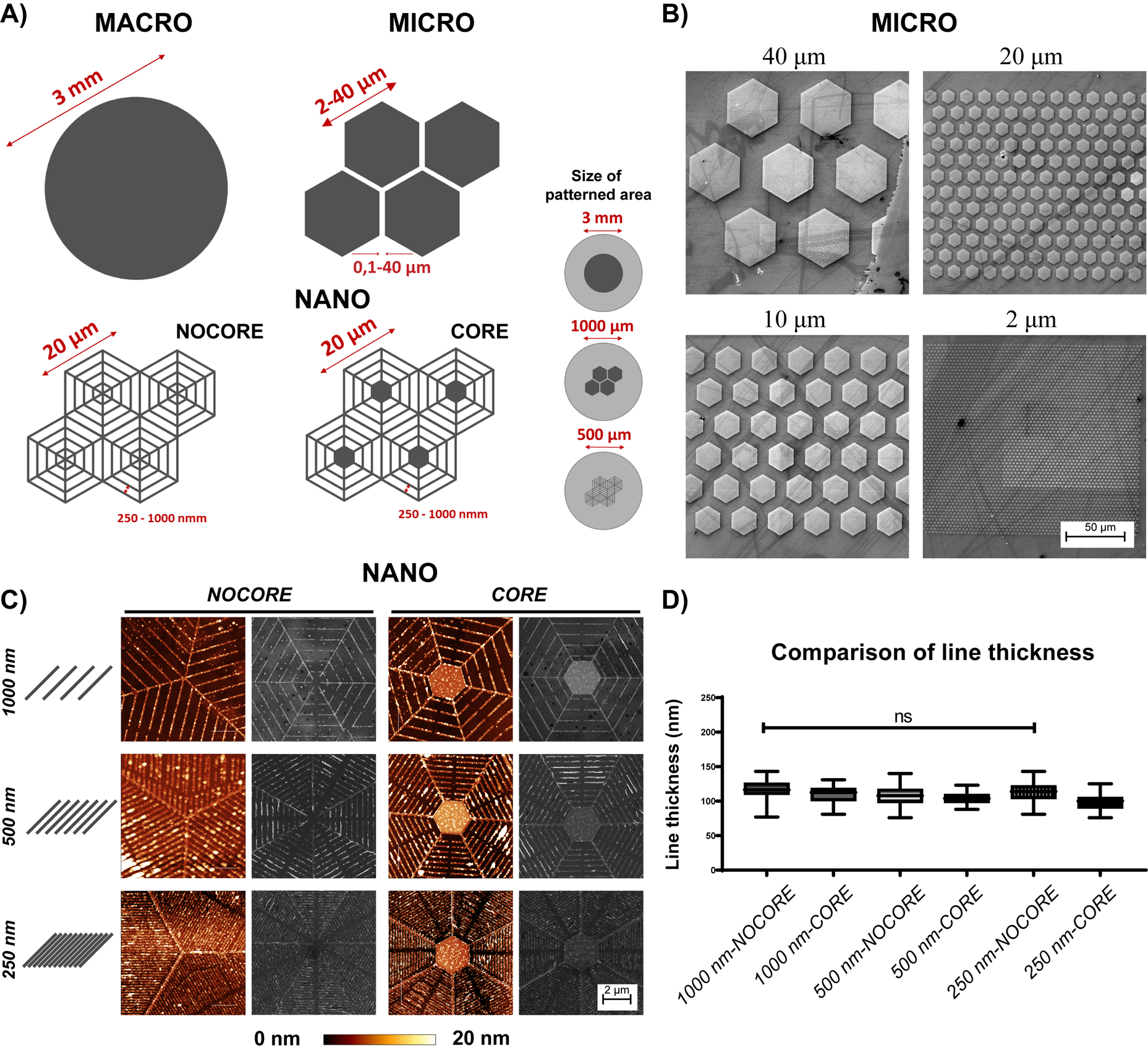 Schematics and SEM images of micro- and nano-patterns