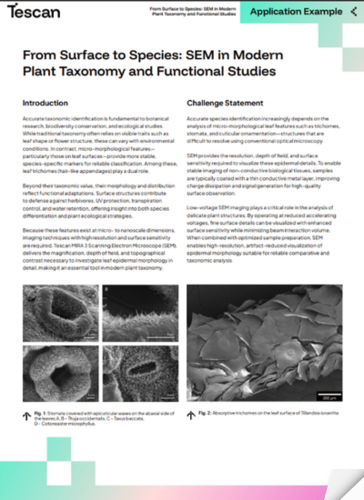From Surface to Species SEM in Modern Plant Taxonomy and Functional Studies