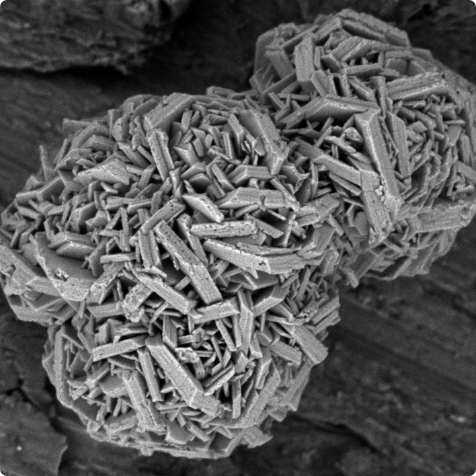 High-res 2 keV SEM image of NiCoMn powder