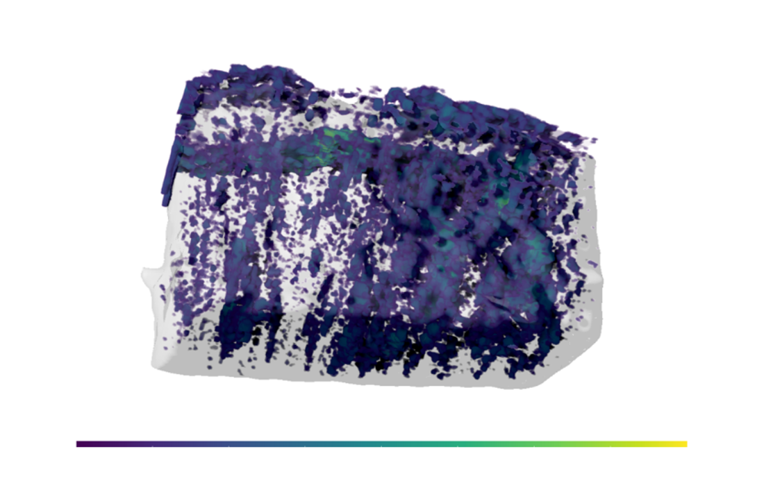 Intermediate-Scale Imaging with Nano-CT