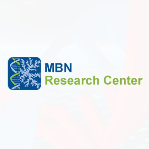 INDICO FEBID workshop