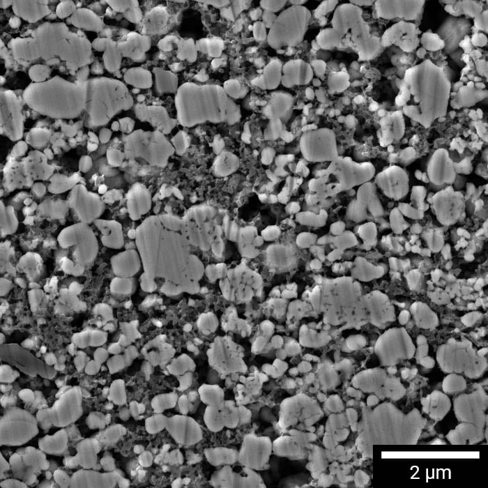 Detailed SEM of LFP cathode cross section