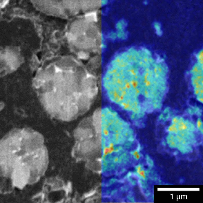 FIB and ToF-SIMS correlation on fully discharged NMC cathode