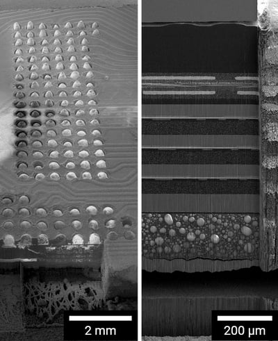 LVW-insights-536x658px