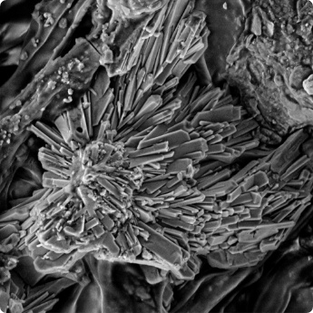 Lakovka_H2O_01_1 kopie