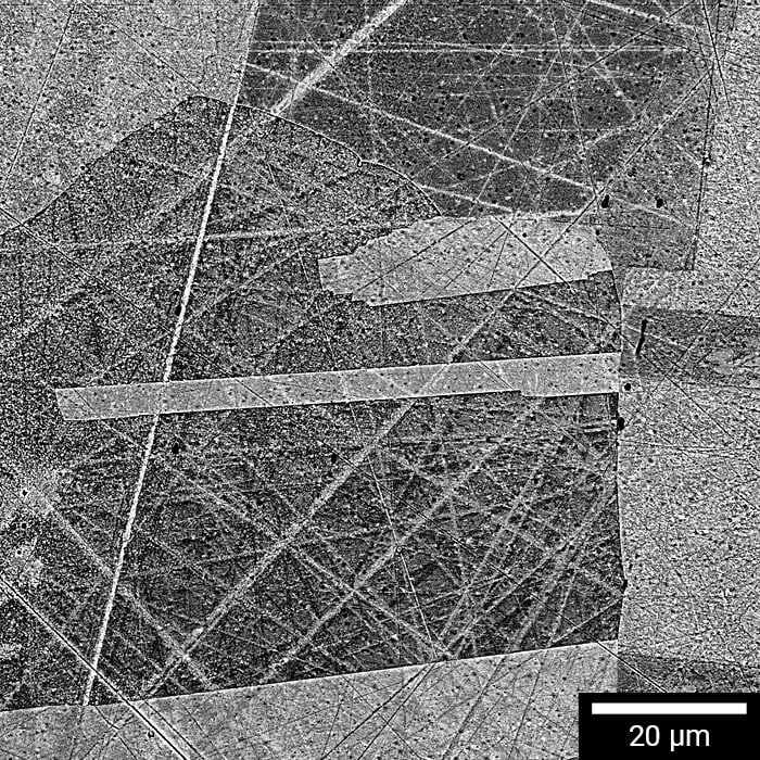 BSE image of twin boundary at austenitic steel