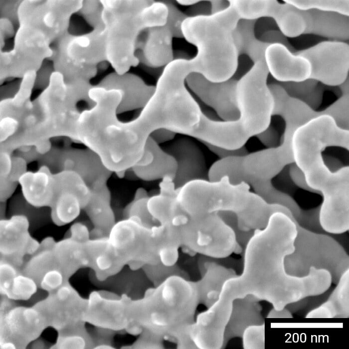 Ultra-high-Resolution Image of Nanoporous gold