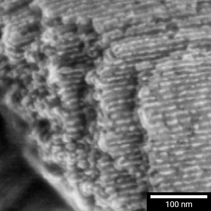 Tescan MIRA XR large-area EBSD map acquired without stitching for crystallographic analysis