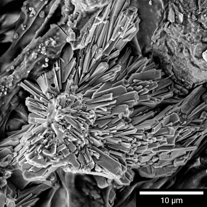 MIRA XR – Analytical UHR-SEM
