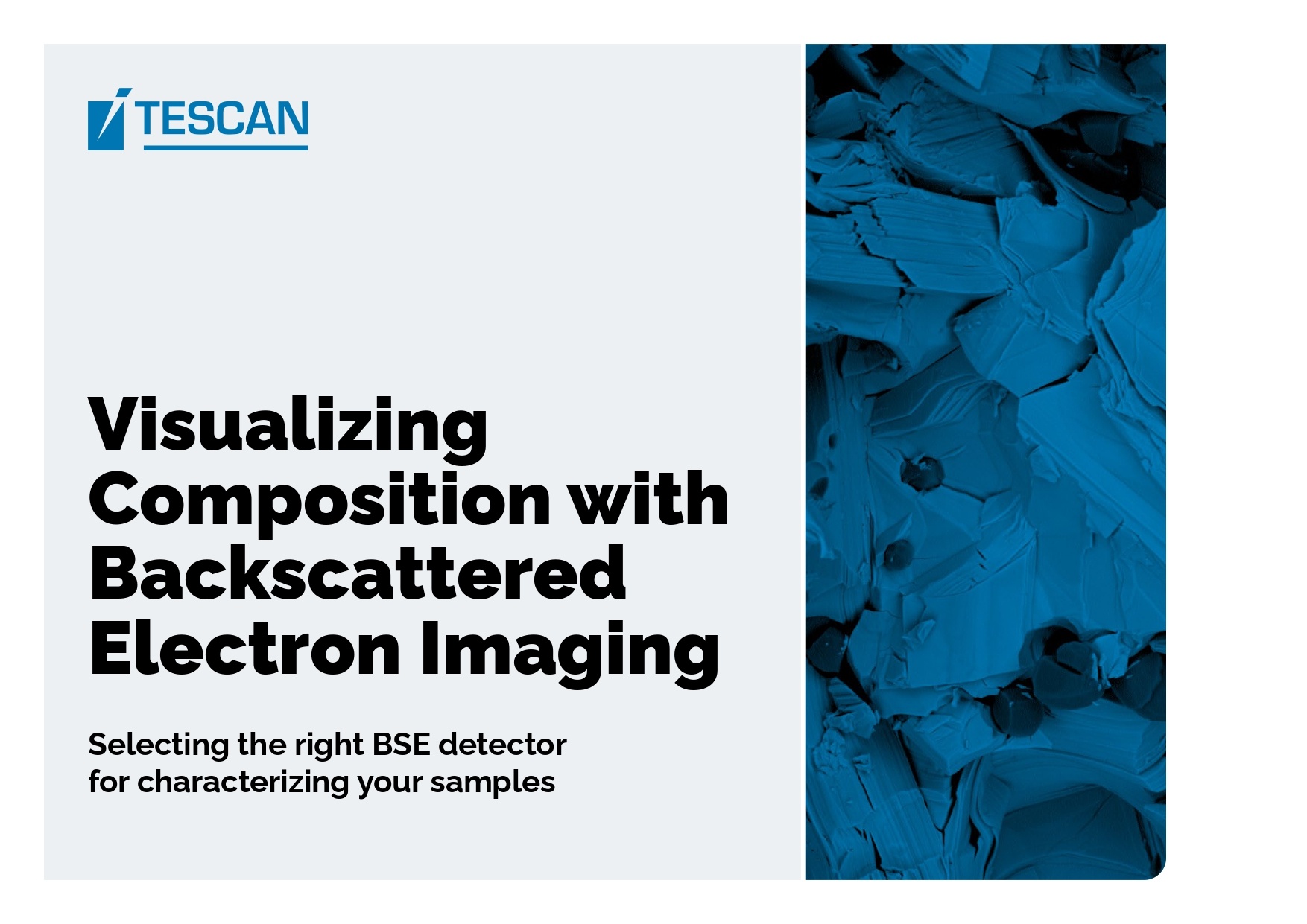 MS L2 Detectors Brochure_page-0001
