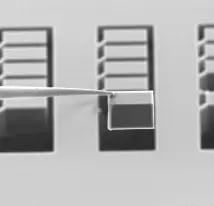 MicrosoftTeams-image (64)_1x